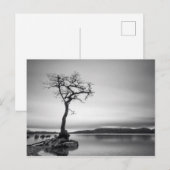 Eenvoudige baasstructuur briefkaart (Voorkant / Achterkant)