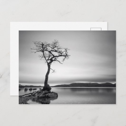 Eenvoudige baasstructuur briefkaart (Voorkant / Achterkant)