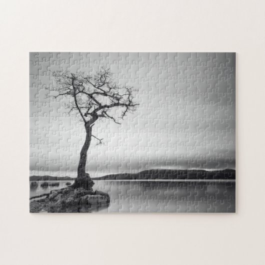 Eenvoudige baasstructuur legpuzzel (Horizontaal)