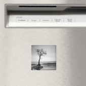 Eenvoudige baasstructuur magneet (Insitu (Vaatwasser))