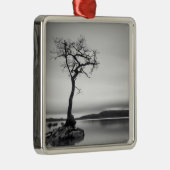 Eenvoudige baasstructuur metalen ornament (Rechts)