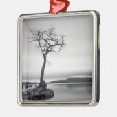 Eenvoudige baasstructuur metalen ornament (Links)
