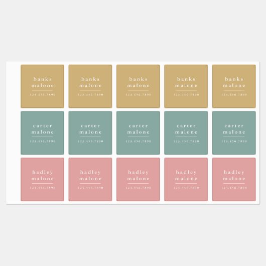 Eenvoudige Boho Rainbow Kinder Waterbestendige Naa Labels (Vel)