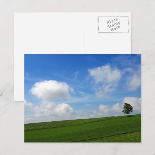 Eenvoudige boom - Briefkaart (Voorkant / Achterkant)