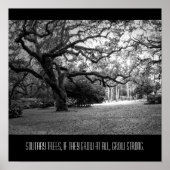 Eenvoudige boom poster (Voorkant)