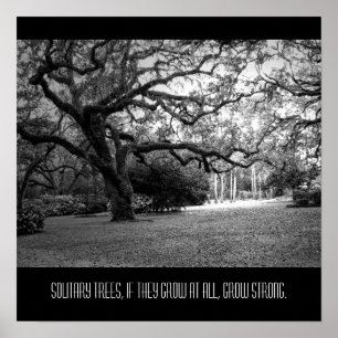 Eenvoudige boom poster