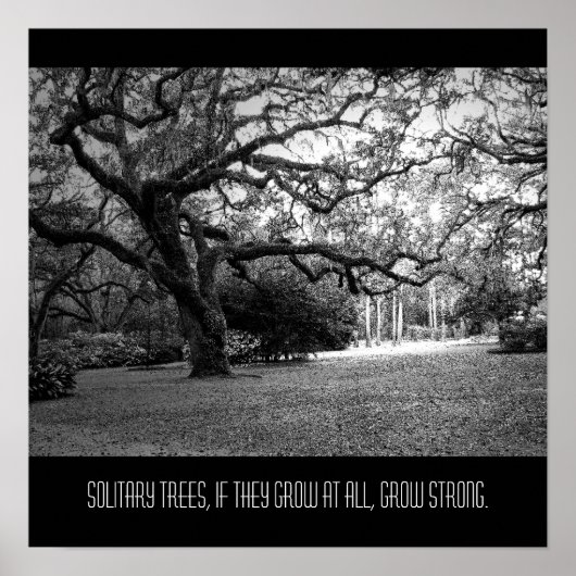 Eenvoudige boom poster (Voorkant)