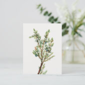 Eenvoudige  Botanische Mountain Juniper Briefkaart (Staand voorkant)