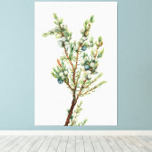 Eenvoudige Botanische Mountain Juniper Canvas Afdruk (Insitu (Houten vloer))