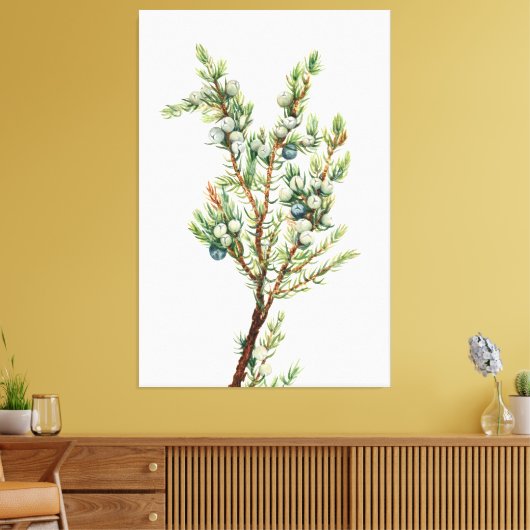 Eenvoudige Botanische Mountain Juniper Canvas Afdruk (Insitu (Woonkamer))