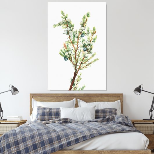 Eenvoudige Botanische Mountain Juniper Canvas Afdruk (Insitu (Slaapkamer))