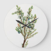 Eenvoudige  Botanische Mountain Juniper Grote Klok (Voorkant)