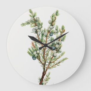 Eenvoudige Botanische Mountain Juniper Grote Klok