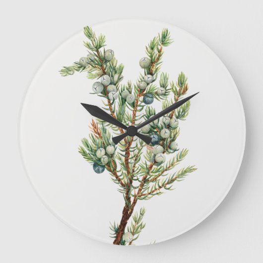 Eenvoudige  Botanische Mountain Juniper Grote Klok (Voorkant)