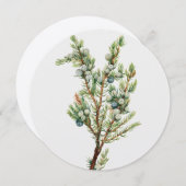 Eenvoudige Botanische Mountain Juniper Kaart (Voorkant / Achterkant)