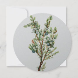 Eenvoudige  Botanische Mountain Juniper Kaart