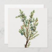 Eenvoudige  Botanische Mountain Juniper Kaart (Voorkant / Achterkant)