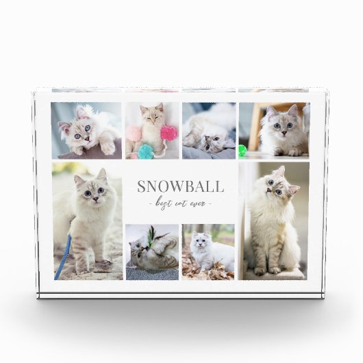 Eenvoudige Cat Pet Fotocollage Fotoblokken (Voorkant)