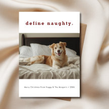 Eenvoudige definitie Naughty Funny Christmas Dog F