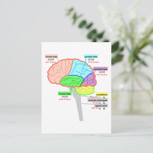 eenvoudige delen van de japanse hersenen briefkaart (Staand voorkant)