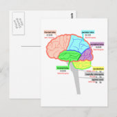 eenvoudige delen van de japanse hersenen briefkaart (Voorkant / Achterkant)