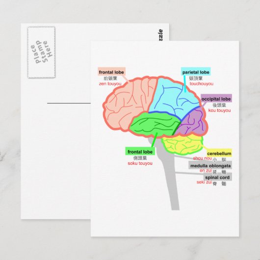 eenvoudige delen van de japanse hersenen briefkaart (Voorkant / Achterkant)