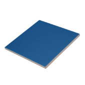 Eenvoudige Donkere Blauwe Tile 2 Tegeltje (Zijkant)