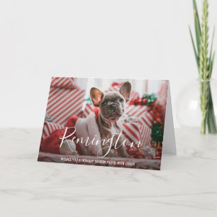 Eenvoudige Elegant Cute Photo Dog Kerstmis Feestdagen Kaart