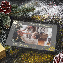 Eenvoudige Elegante Grijze Poinsettia Kerst Foto