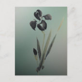 Eenvoudige elegante moderne Ukiyo-e Japanse Iris Briefkaart (Voorkant)