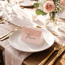 Eenvoudige Elegante Roze Huwelijk Tafel Plaatskaar Plaatskaartje