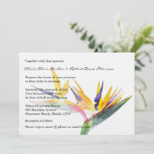 Eenvoudige Elegante Vogel van het Paradijs Bloemen Kaart (Staand voorkant)