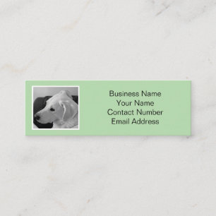 Eenvoudige en elegante lichtgroene hond Foto Huisd Mini Visitekaartje