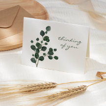 Eenvoudige Eucalyptus Groene Troost