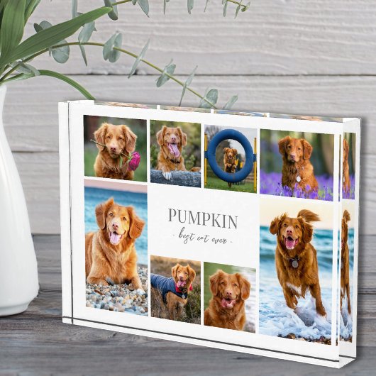 Eenvoudige Fotocollage van je Hond Fotoblokken