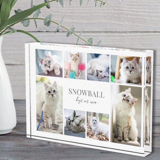 Eenvoudige Fotocollage voor Huisdieren Fotoblokken