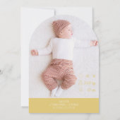 Eenvoudige geboorteaankondiging Kleine Leeuw Kaart (Achterkant)