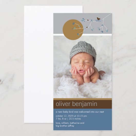 Eenvoudige geboortefoto van nestelende vogelgezin aankondiging (Voorkant / Achterkant)