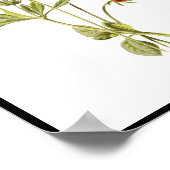 Eenvoudige gele bloemen poster (Hoek)