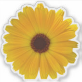 Eenvoudige gele madeliefje sticker (Voorkant)