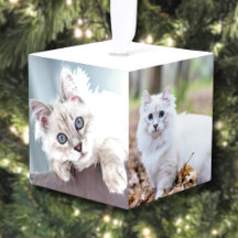 Eenvoudige Gepersonaliseerde Pet Cat Foto Kerstmis
