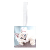 Eenvoudige Gepersonaliseerde Pet Cat Foto Kerstmis Decoratie (Voorkant)