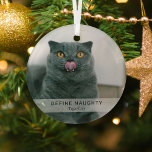 Eenvoudige grappige 'Definieer stoute' huisdier fo Glas Ornament<br><div class="desc">Creëer een grappig huisdier kerstornament met deze eenvoudige moderne sjabloon. Design beschikt over een foto van je hond/kat,  een witte overlay banner met de tekst 'DEFINITION NAUGHTY' en de naam van het huisdier.</div>