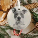 Eenvoudige grappige 'Definieer stoute' huisdier fo Glas Ornament<br><div class="desc">Creëer een grappig huisdier kerstornament met deze eenvoudige moderne sjabloon. Design beschikt over een foto van je hond/kat,  een witte overlay banner met de tekst 'DEFINITION NAUGHTY' en de naam van het huisdier.</div>