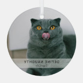 Eenvoudige grappige 'Definieer stoute' huisdier fo Glas Ornament (Achterkant)