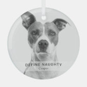 Eenvoudige grappige 'Definieer stoute' huisdier fo Glas Ornament (Voorkant)