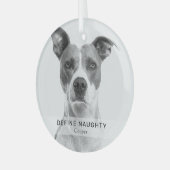 Eenvoudige grappige 'Definieer stoute' huisdier fo Glas Ornament (Voorkant links)