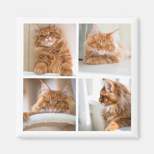 Eenvoudige Grid Collage 4 Vier Foto's Magneet (Voorkant)