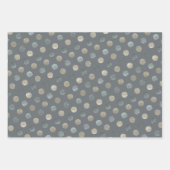 Eenvoudige grijze en zilverpokkendots Modern & Ele Inpakpapier Vel (Voorkant 3)