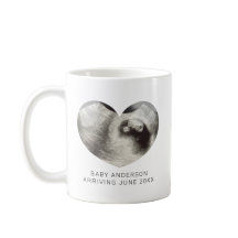 Eenvoudige hart echo zwangerschap onthullen